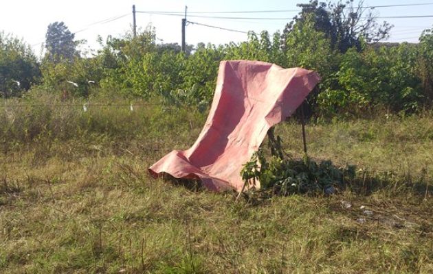 Predio usurpado en Río Tala. Foto: Visión Regional