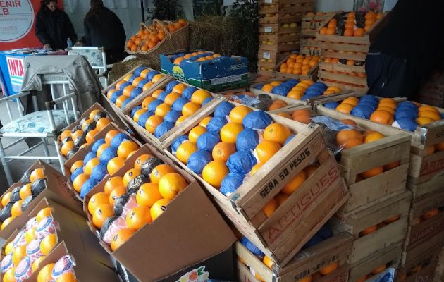 Se concretará la cuarta edición de la Fiesta de la Naranja de Ombligo. Foto archivo Visión Regional