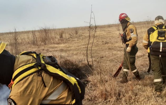 Brigadistas forestales de la Policía Federal y Policía de Entre Ríos combaten las llamas