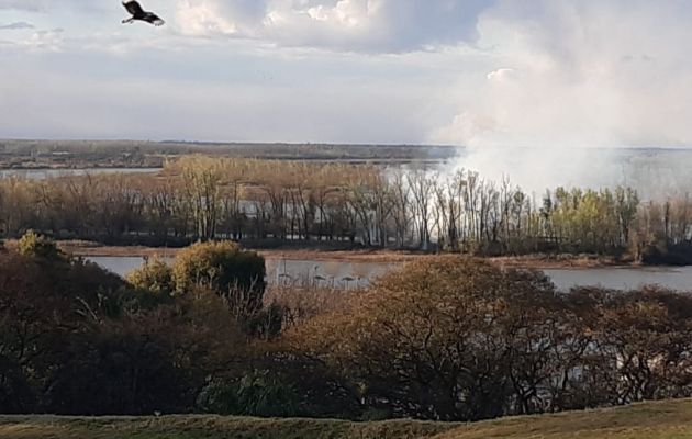 Los incendios persistieron en todo el 2020. Foto Visión Regional