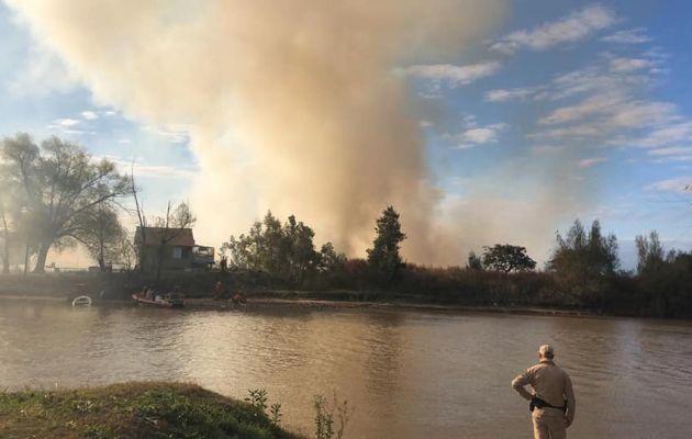 Los incendios van desde Granadero Baigorria, en Santa Fe, hasta Baradero.
