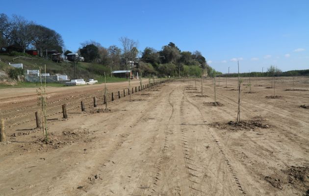 Las obras de la Municipalidad en Vuelta de Obligado valieron un acta del OPDS