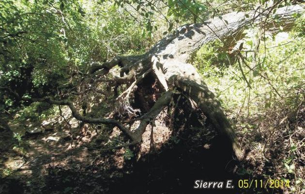 Foto: Enrique Sierra