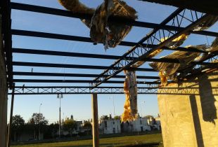 "Se robaron las chapas", denuncian vecinos de barrio Banfield ante el desmantelamiento del edificio. Foto: Pablo Martínez