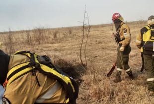 Brigadistas forestales de la Policía Federal y Policía de Entre Ríos combaten las llamas