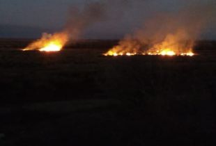 Continúan los incendios en las islas