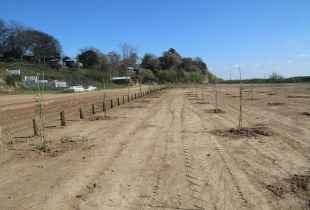 Las obras de la Municipalidad en Vuelta de Obligado valieron un acta del OPDS