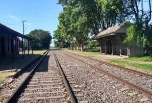 Este martes 29 no hay servicio de trenes. Foto Visión Regional