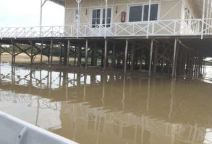 Así está el río a la altura del Club Náutico de San Pedro
